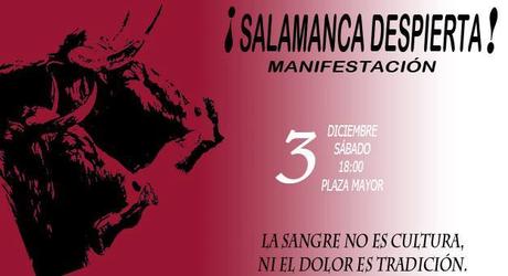 manifestacion salamanca