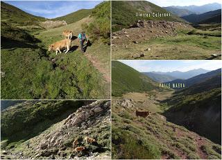 Arbas del Puerto-Valle Maera-Cuitu Nigru-Gistreo-Viadangos de Arbas