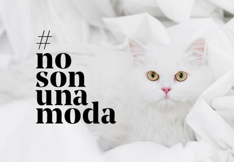 Educar a nuestros hijos contra el abandono de animales #nosonunamoda