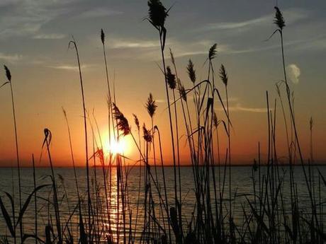 Mis planes para el finde #Octubre1 Mis planes para el finde #Octubre1