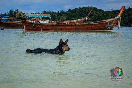 Koh Lipe, las mejores playas de Tailandia Koh Lipe, las mejores playas de Tailandia