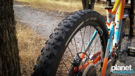 Review: Maxxis Tomahawk