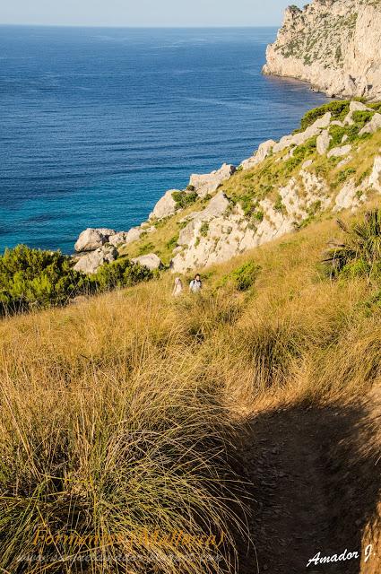 CAP DE FORMENTOR: CALA Y FAR FOMENTOR. POLLENÇA (MALLORCA)