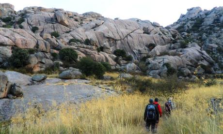 PEDRIZA EN CÍRCULO