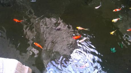 SPA MONOI HOLIDAY POLYNESIA SPA MONOI HOLIDAY POLYNESIA