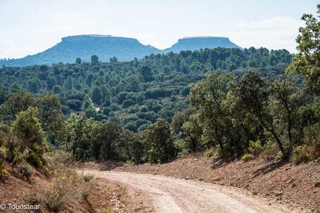 La Alcarria. Siguiendo los pasos de Cela