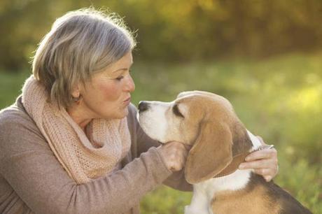 Tu #perro prefiere que lo premies con una caricia y no con comida #Mascotas #Animales Tu #perro prefiere que lo premies con una caricia y no con comida #Mascotas #Animales