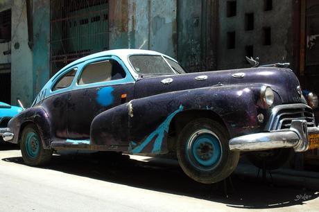 EN MARCHA ATRÁS EL ALMENDRÓN ‘REVOLUCIONARIO’ siuler2bviajes2by2bfotos2bcuba2b22b47