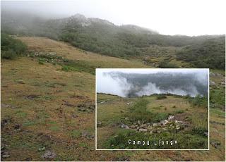 Por el puerto Braña y el entorno del Torres