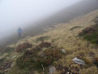 Por el puerto Braña y el entorno del Torres