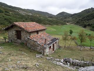 Por el puerto Braña y el entorno del Torres