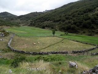 Por el puerto Braña y el entorno del Torres