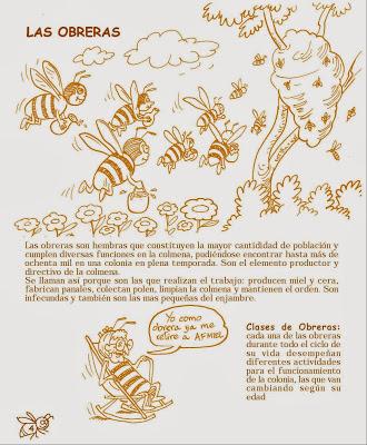 Manual Apícola Ilustrado - Beekeeping Illustrated Manual.