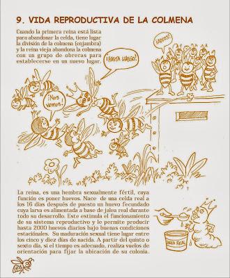 Manual Apícola Ilustrado - Beekeeping Illustrated Manual.