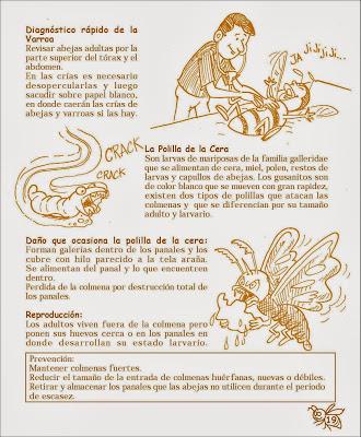 Manual Apícola Ilustrado - Beekeeping Illustrated Manual.