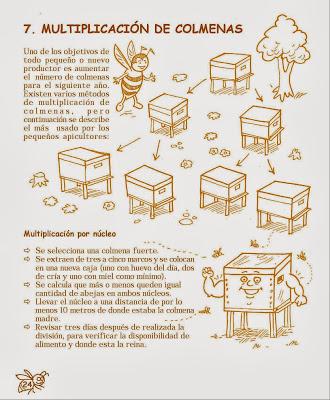 Manual Apícola Ilustrado - Beekeeping Illustrated Manual.