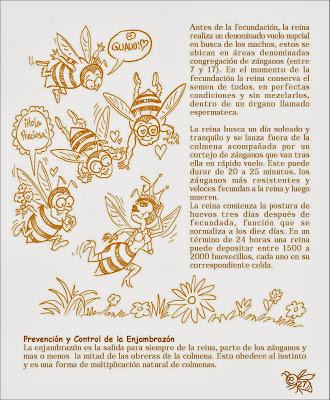 Manual Apícola Ilustrado - Beekeeping Illustrated Manual.