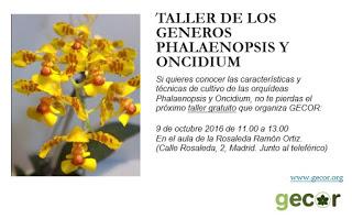 Taller de los géneros Phalaenopsis y Oncidium de orquídea...