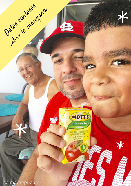 10 datos curiosos sobre la manzana 10 datos curiosos sobre la manzana