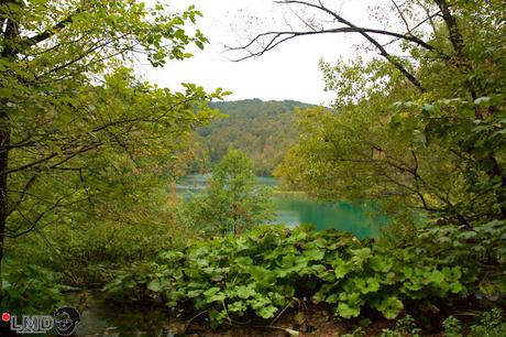 CRÓNICAS BALCÁNICAS: PARQUE NACIONAL DE PLITVICE