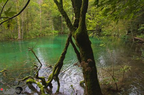 CRÓNICAS BALCÁNICAS: PARQUE NACIONAL DE PLITVICE