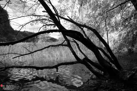 CRÓNICAS BALCÁNICAS: PARQUE NACIONAL DE PLITVICE