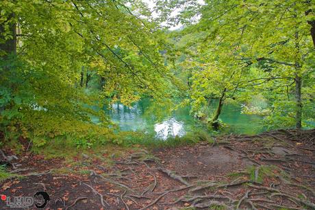 CRÓNICAS BALCÁNICAS: PARQUE NACIONAL DE PLITVICE