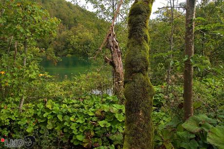 CRÓNICAS BALCÁNICAS: PARQUE NACIONAL DE PLITVICE