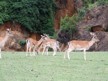 Parque de Cabárceno. Cantabria Infinita