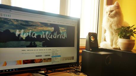 Isigano: sorteos gratis de productos de los comercios de tu zona isigano03