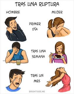 Diferencias Hombres Y Mujeres