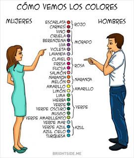 Diferencias Hombres Y Mujeres