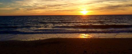 RESTOS cropped-thumb_img_1636_102411.jpg