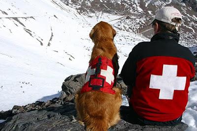 Perros, el más grande invento de la historia humana.