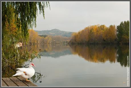  Briñas La Rioja (Ebro)