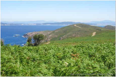 Vistas por el Norte