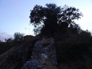 Castillo de Mayorga, en San Vicente de Alcántara: álbum fotográfico Castillo de Mayorga, en San Vicente de Alcántara: álbum fotográfico