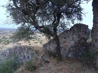 Castillo de Mayorga, en San Vicente de Alcántara: álbum fotográfico Castillo de Mayorga, en San Vicente de Alcántara: álbum fotográfico