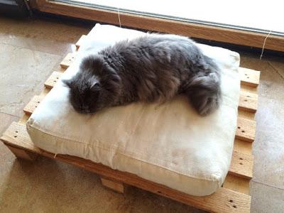 Una cama para mascotas fácil y barata
