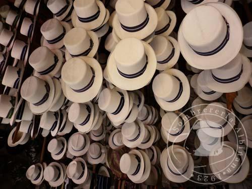 Buscando el mejor “Sombrero Panamá” – I