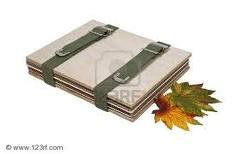 PAEPEL PAPEL SECANTE