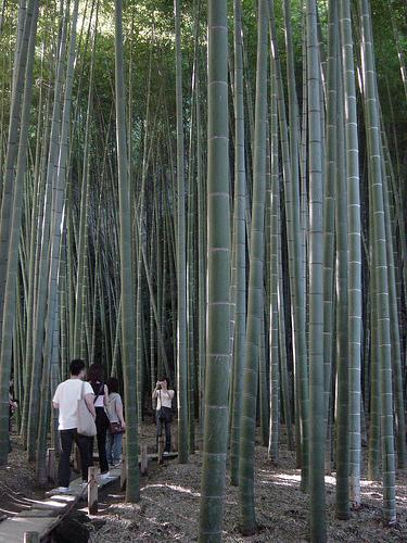 Excursion a Kamakura(Mi vida en Japón 7ª parte) Excursion a Kamakura(Mi vida en Japón 7ª parte)