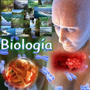Biologia 2 de febrero de 2011: ¡1er Aniversario de “Biblioteca de Investigaciones”!