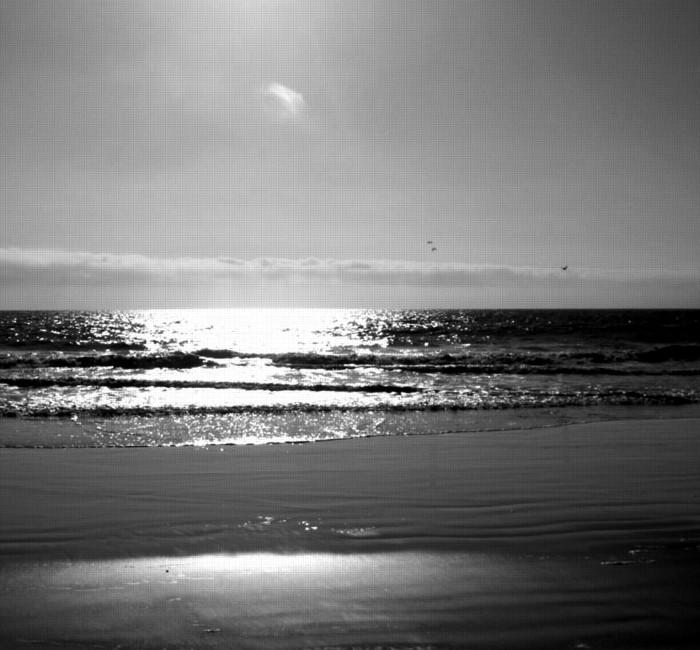 Stylish Blogger Award Stylish Blogger Award