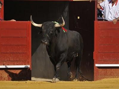 En defensa de los Toros de Cenicientos En defensa de los Toros de Cenicientos