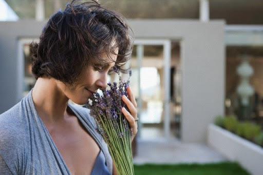 Pregunta del Viernes Pregunta del Viernes