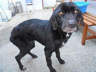 ¿Para que decir nada? ¿Para que decir nada?