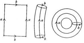 La botella de Klein. La botella de Klein.