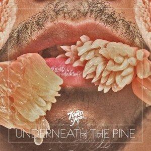 Toro y Moi  – Underneath The Pine