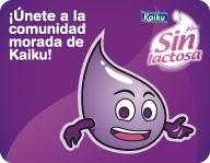 Jornadas de bloggers en Pamplona Evento Organizado por KAIKU Únete a la comunidad morada de Kaiku